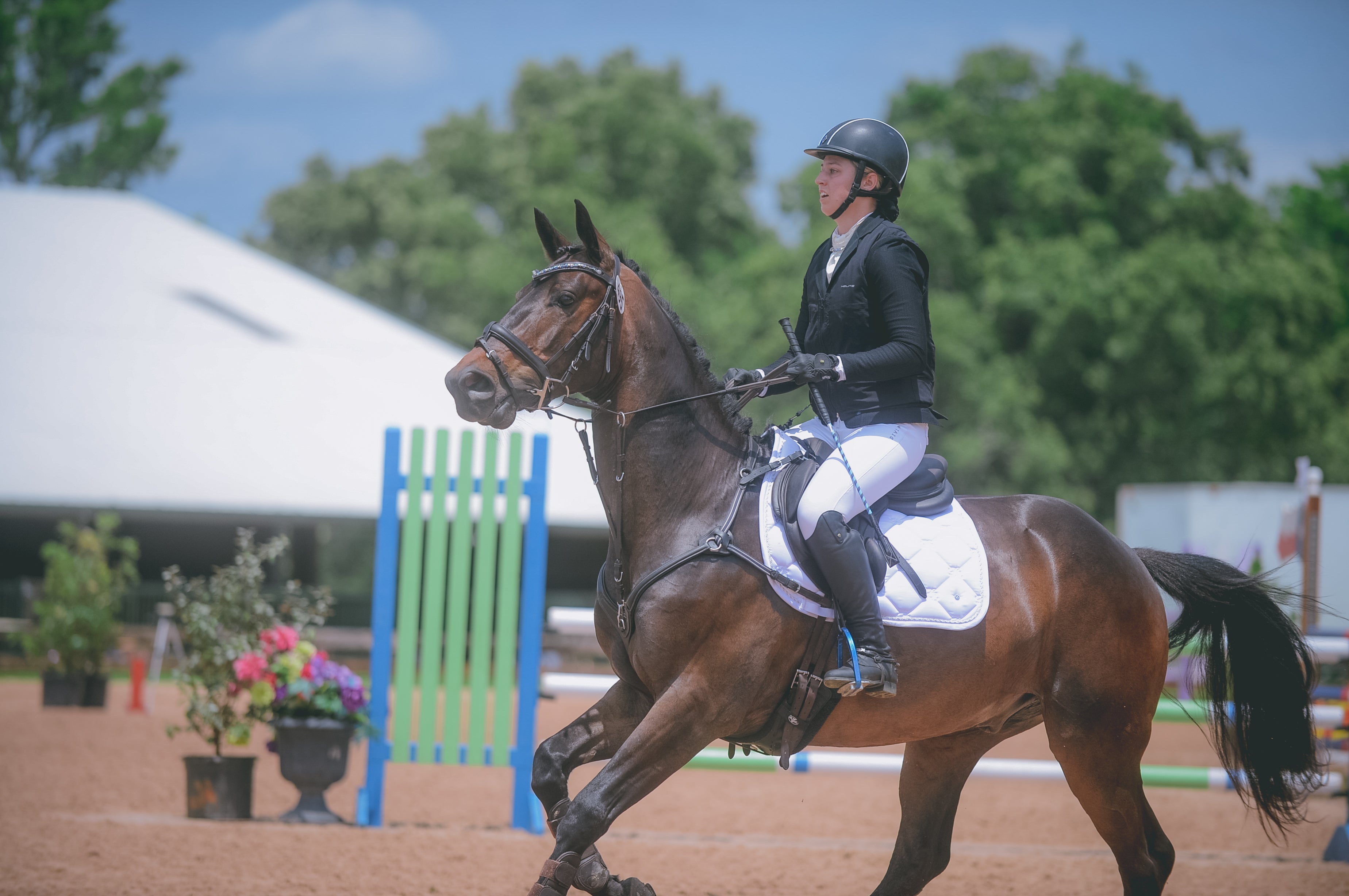 White Premium Affordable Saddle Pad