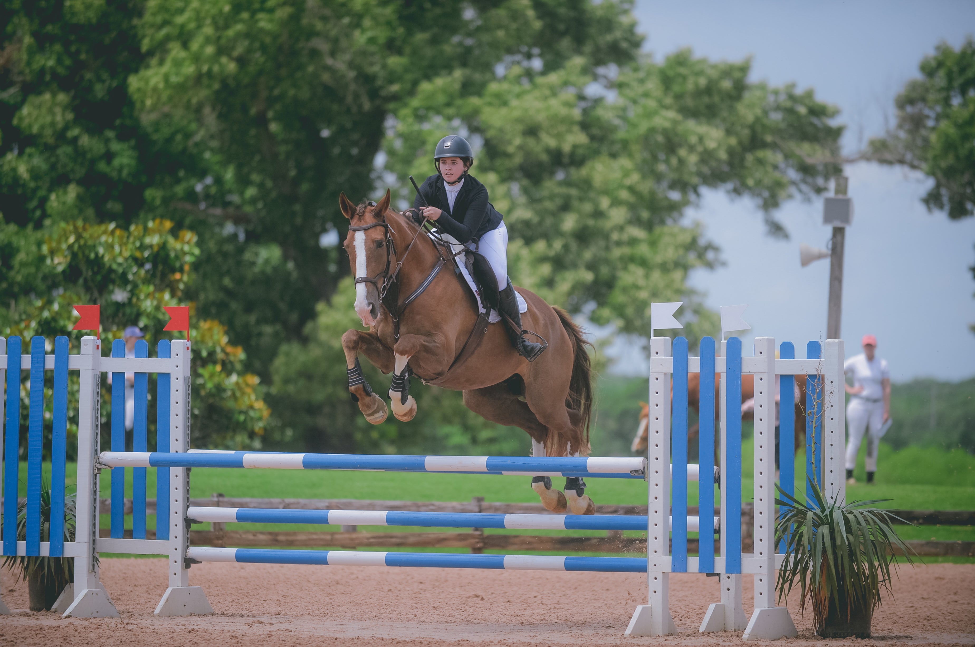 Divine Equestrian ambassador Carter Jackson