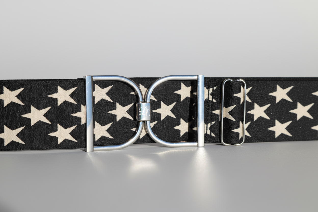 Black belt with white star pattern and silver buckle on a white background