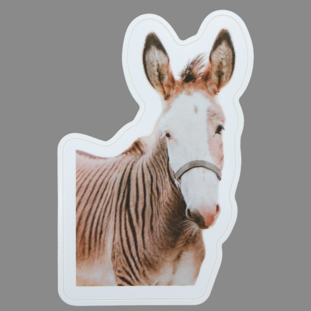 Zebediah The Zedonk Divine Equestrian Sticker
