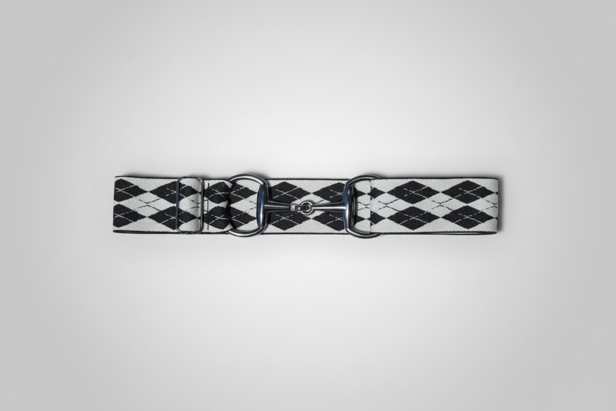 Black and white checkered belt on a white background