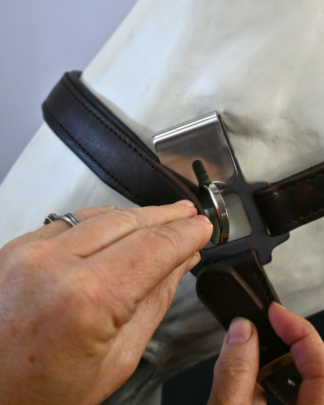 Magna Halter ™ in Black With Leather Breakaway