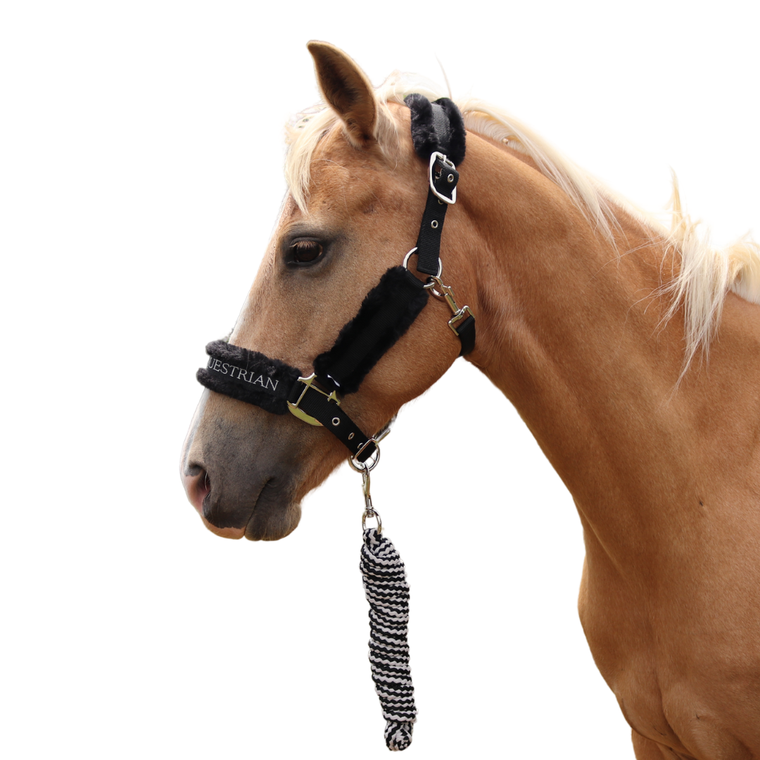 Faithful Faux Fur Horse Halter Side View | Divine Equestrian Affordable Horse Halters