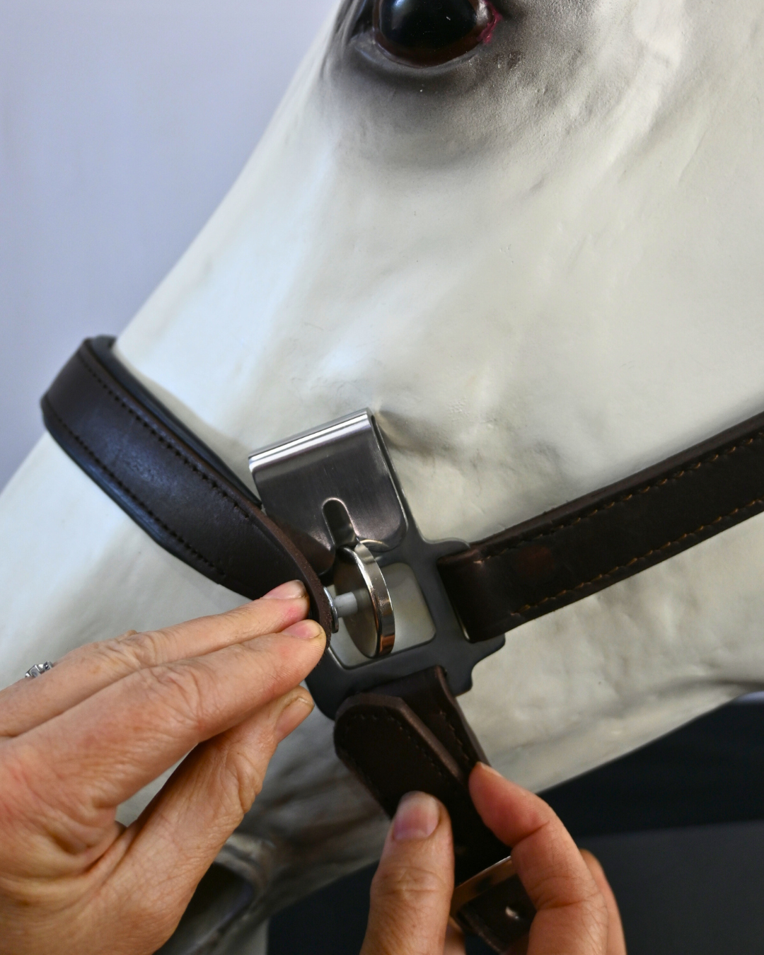 Magna Halter ™ in Blue with Fleece and Leather Breakaway