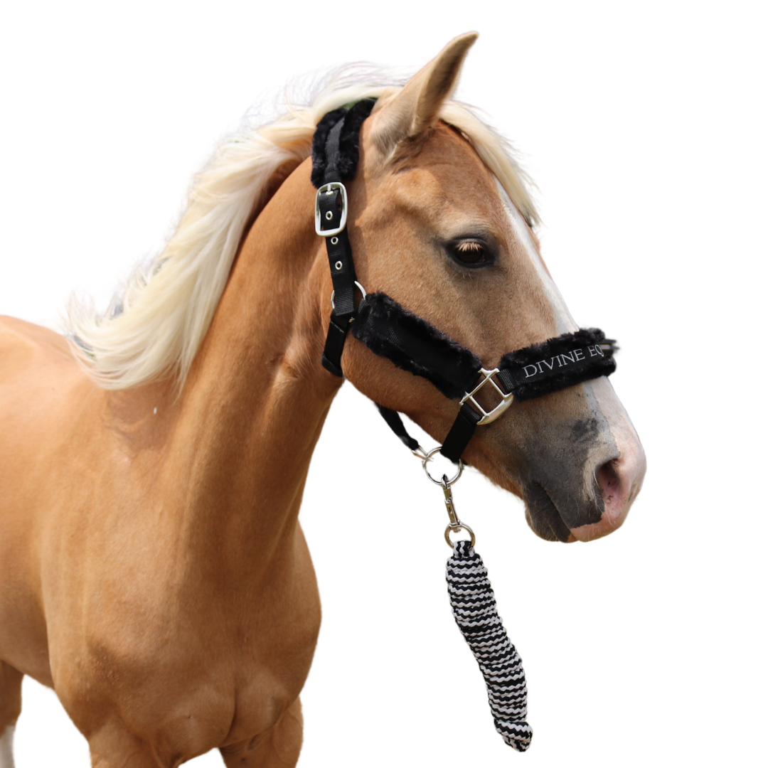 Faithful Faux Fur Horse Halter Side View | Divine Equestrian Affordable Horse Halters