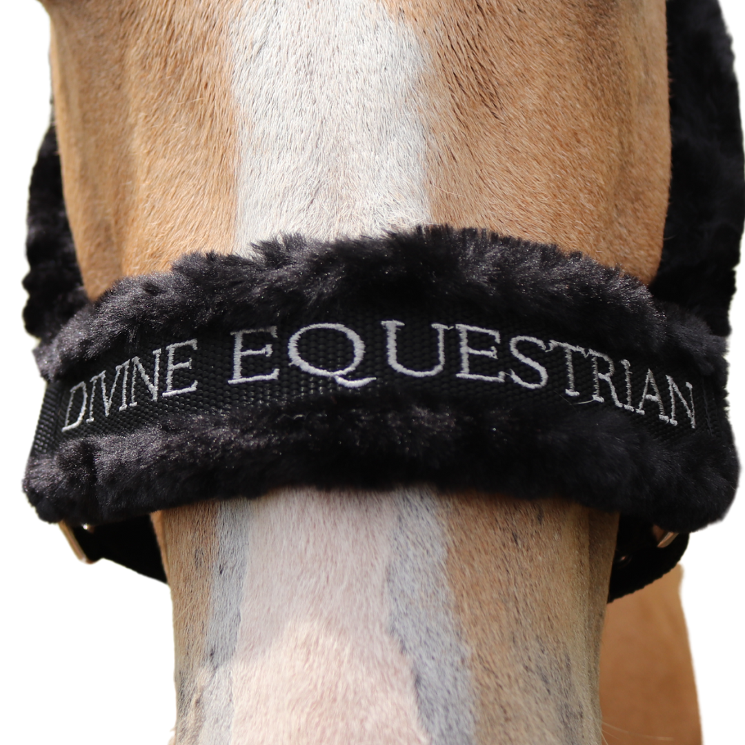 Faithful Faux Fur Horse Halter Noseband | Divine Equestrian Affordable Horse Halters