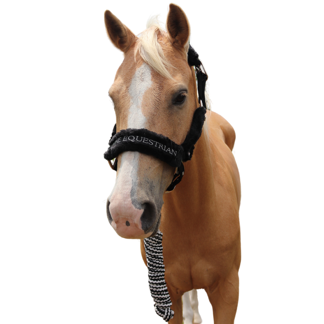 Faithful Faux Fur Horse Halter Front View | Divine Equestrian Affordable Horse Halters