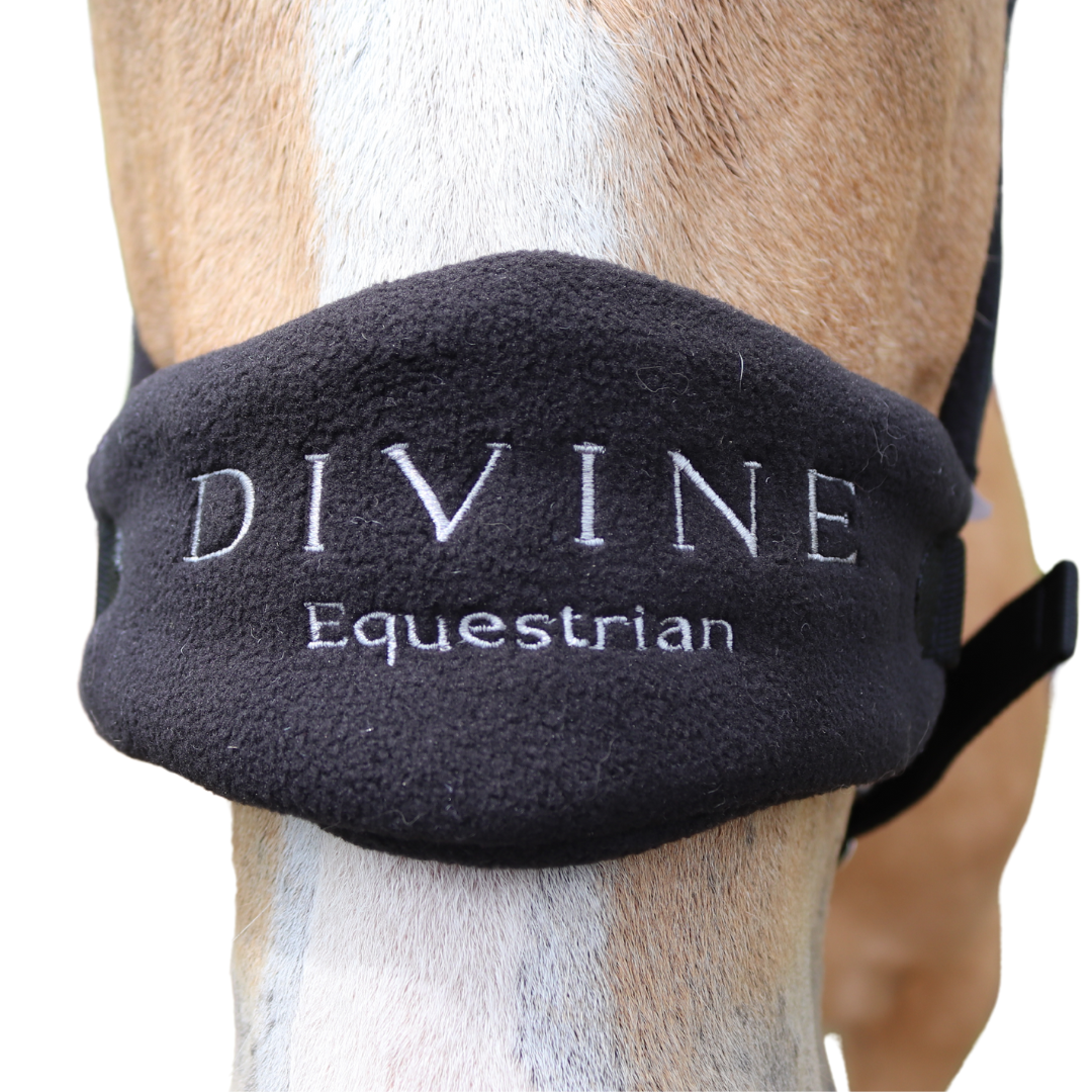 Faithful Fleece Padded Horse Halter Noseband | Divine Equestrian Affordable Horse Halters