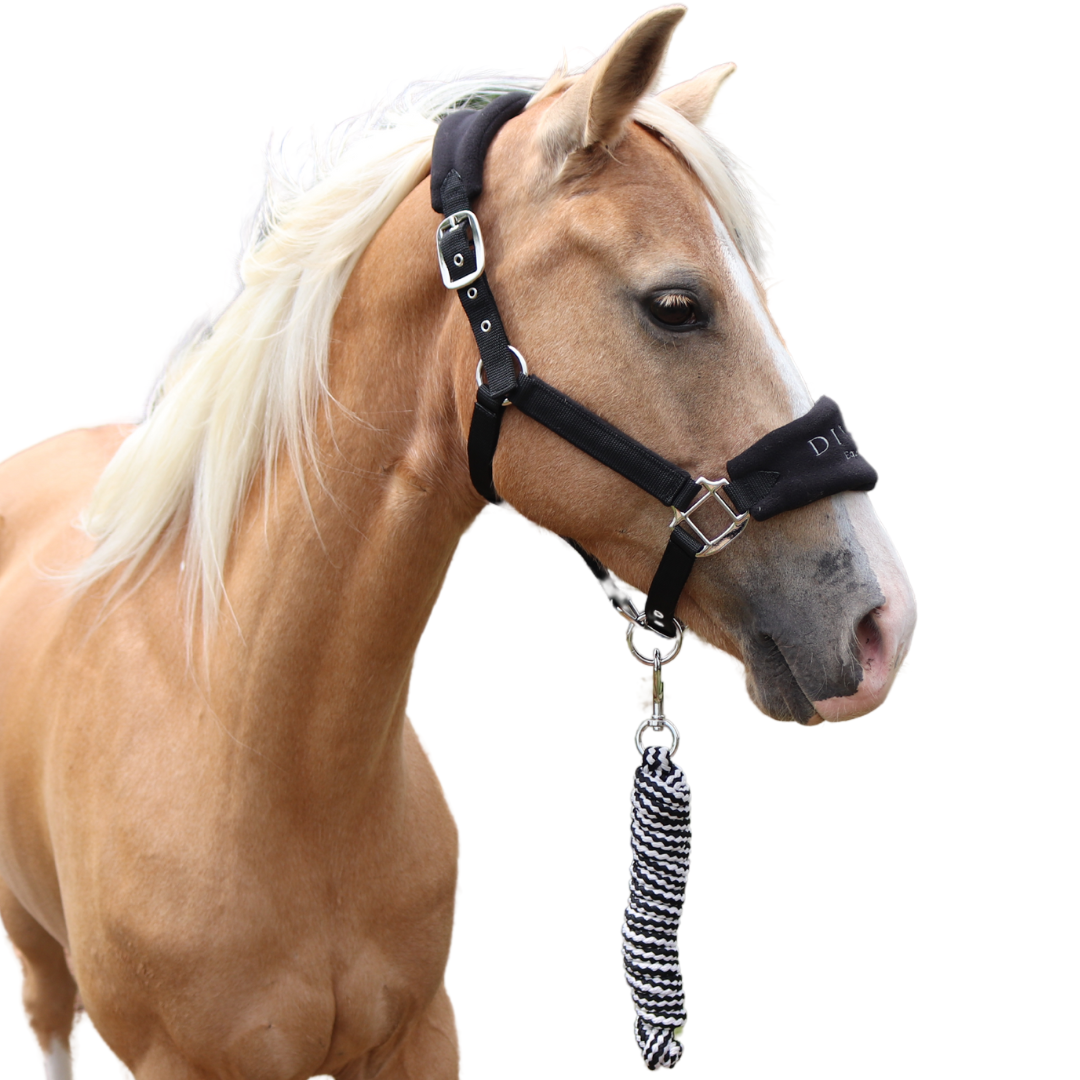 Faithful Fleece Padded Horse Halter Side View | Divine Equestrian Affordable Horse Halters