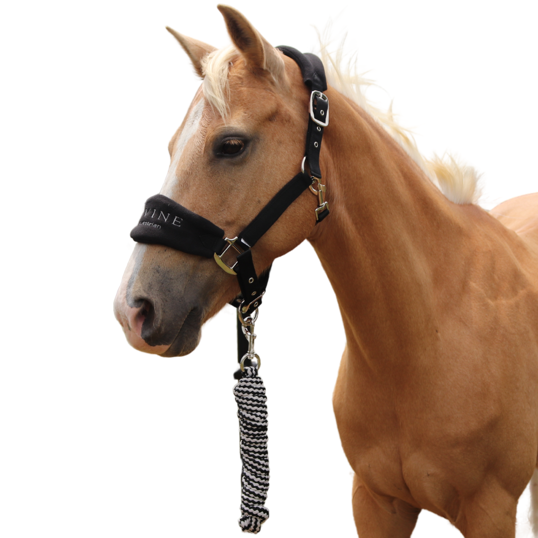 Faithful Fleece Padded Horse Halter Side View | Divine Equestrian Affordable Horse Halters