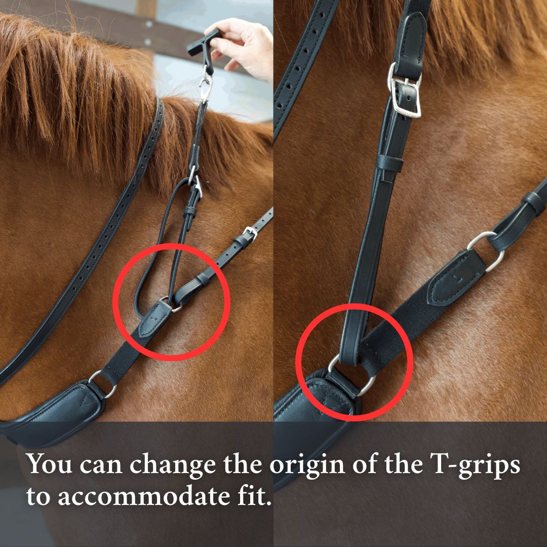 3-in-1 Training Breastplate