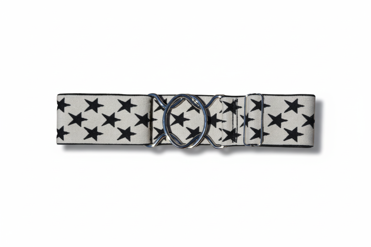 White belt with black star pattern and silver buckle on a white background