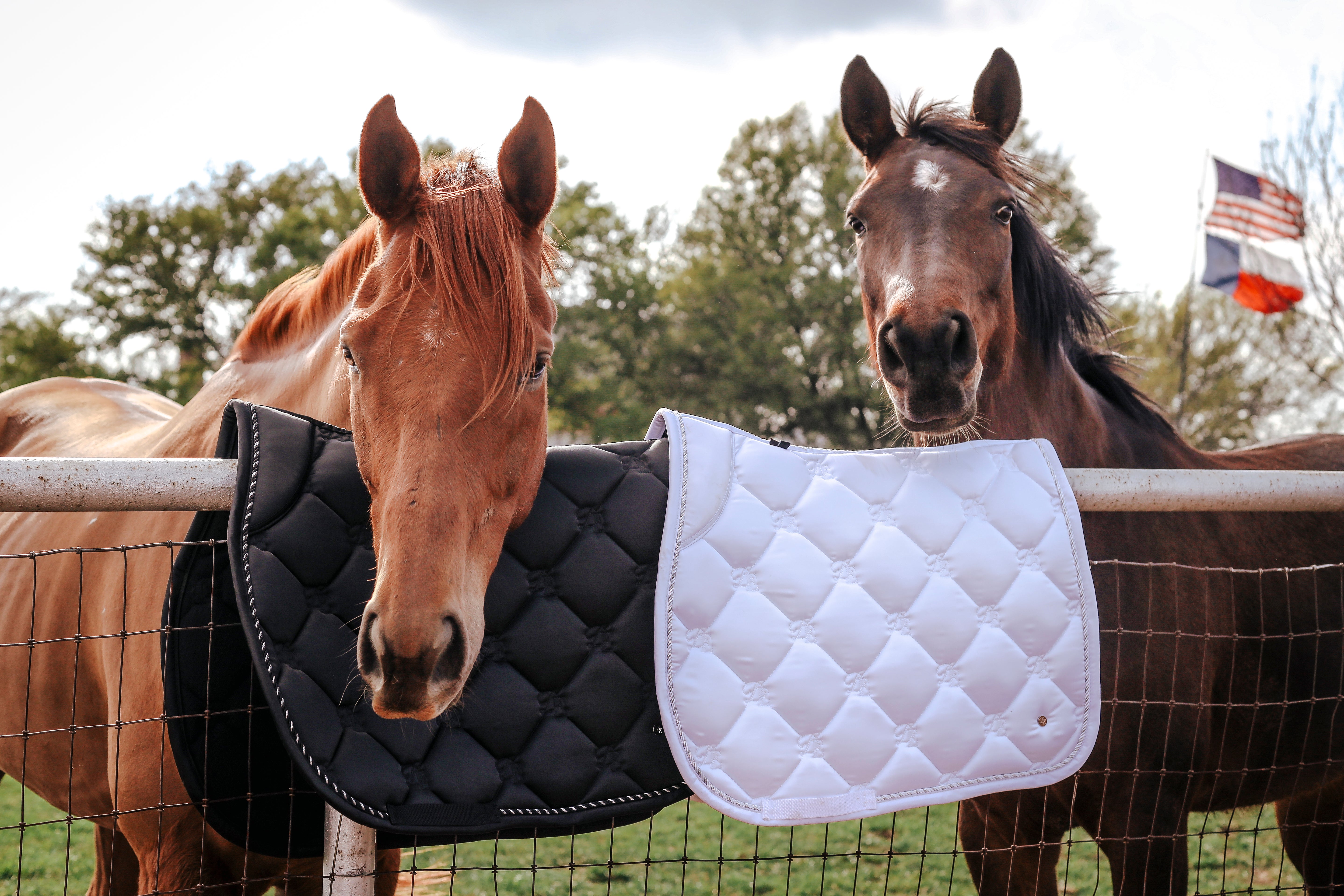 Black and White Affordable Saddle Pads