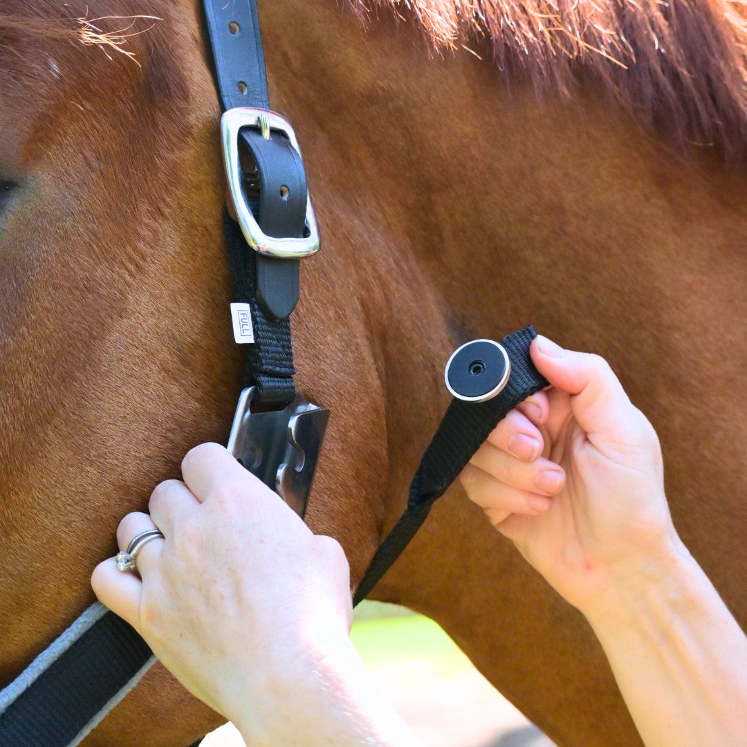 Magna Halter ™ in Black with Fleece Noseband and Leather Breakaway
