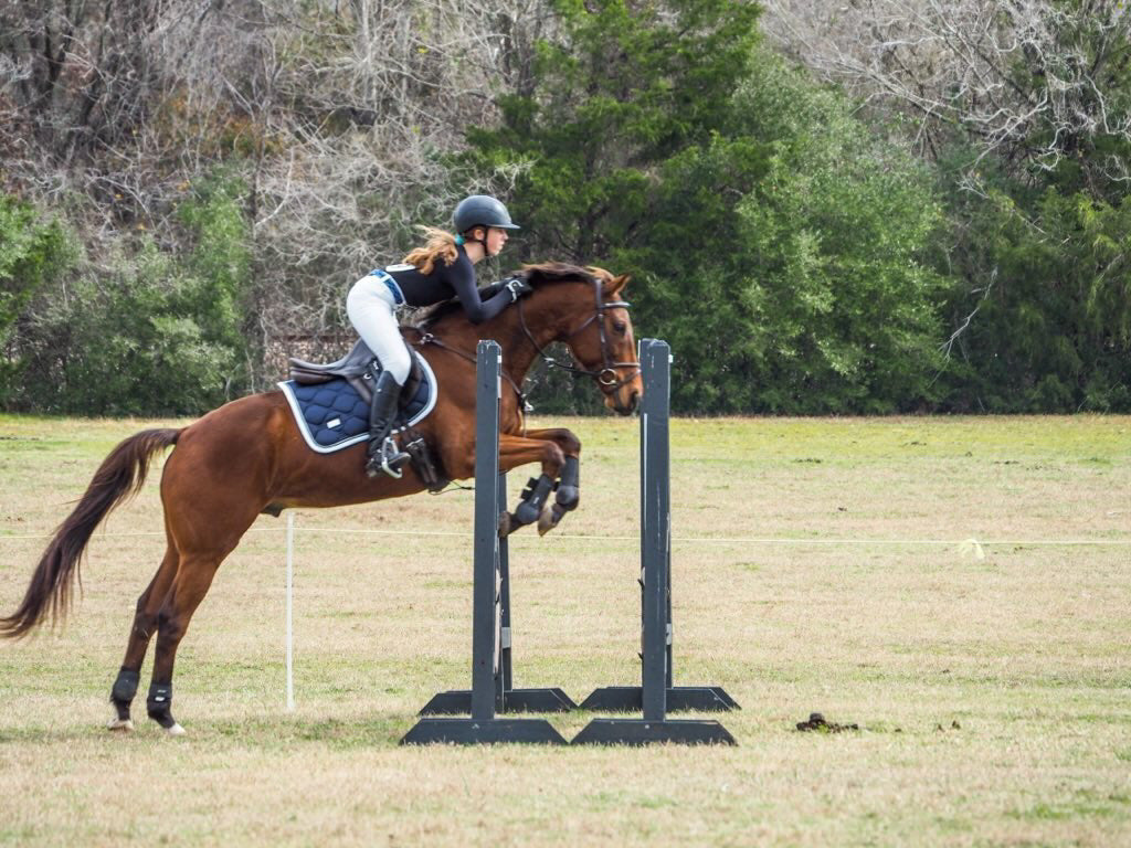 Divine Equestrian Ambassador Maggie Prewett