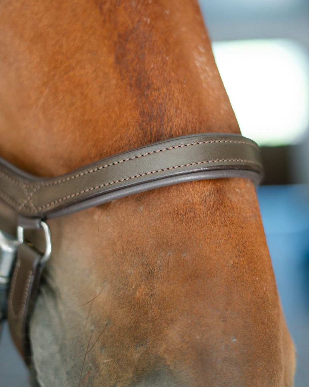 Anatomic Bridle with Crystal Browband