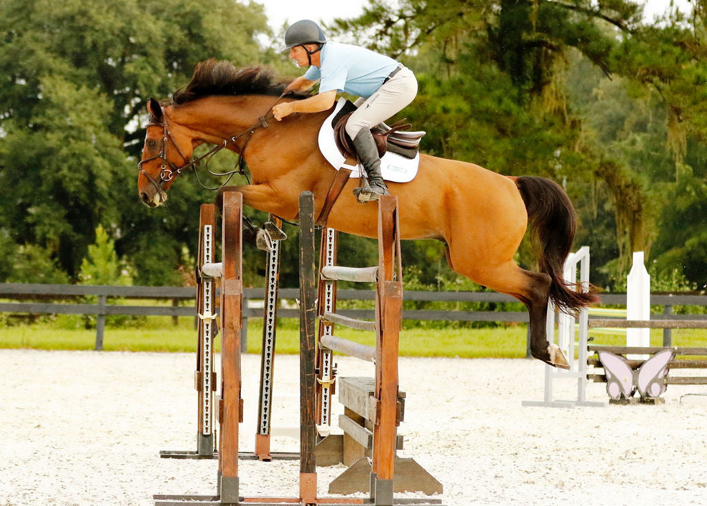 Aaron Vale Rein-3 Padded Hand Grips