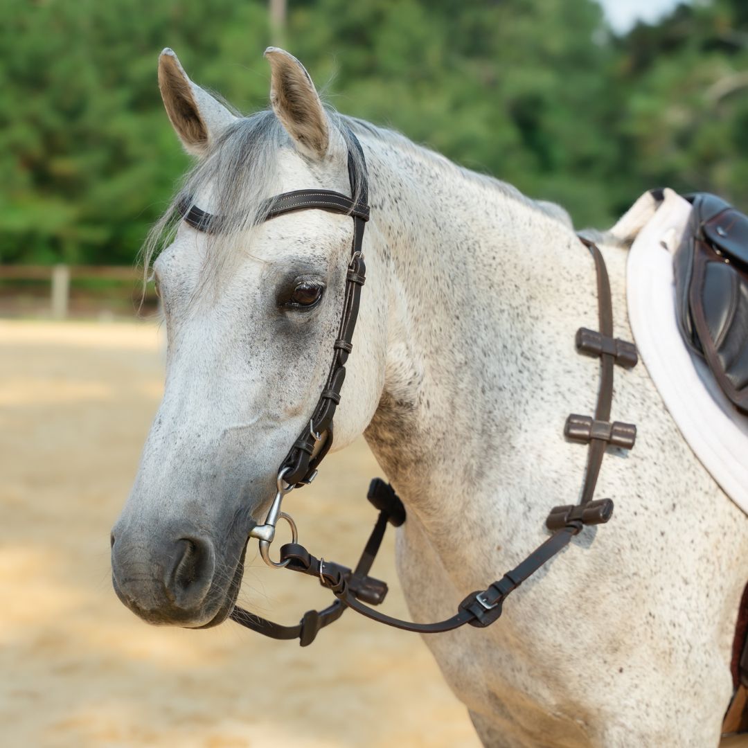 Aaron Vale Rein-3 Padded Hand Grips