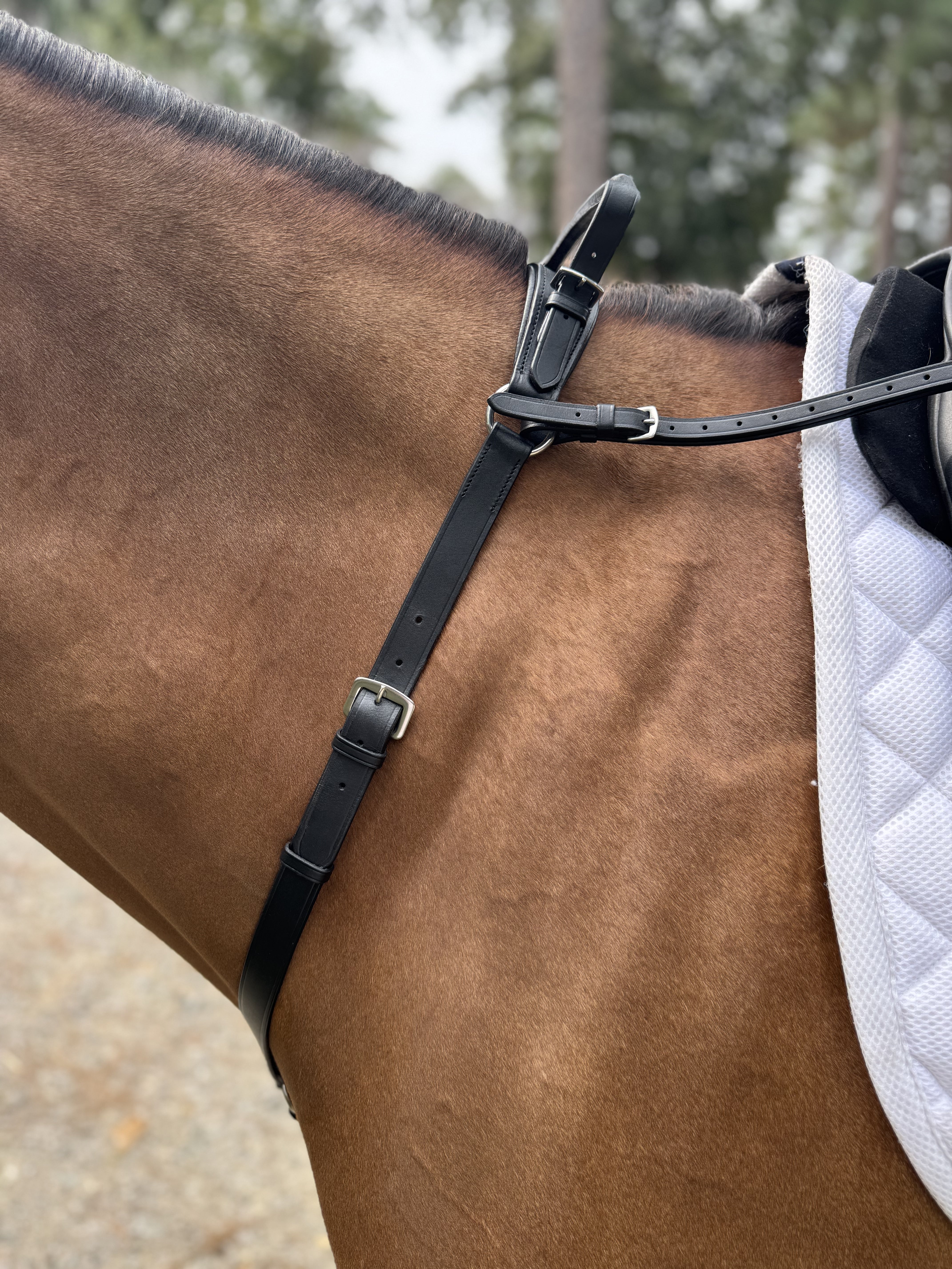 Double Neck Strap