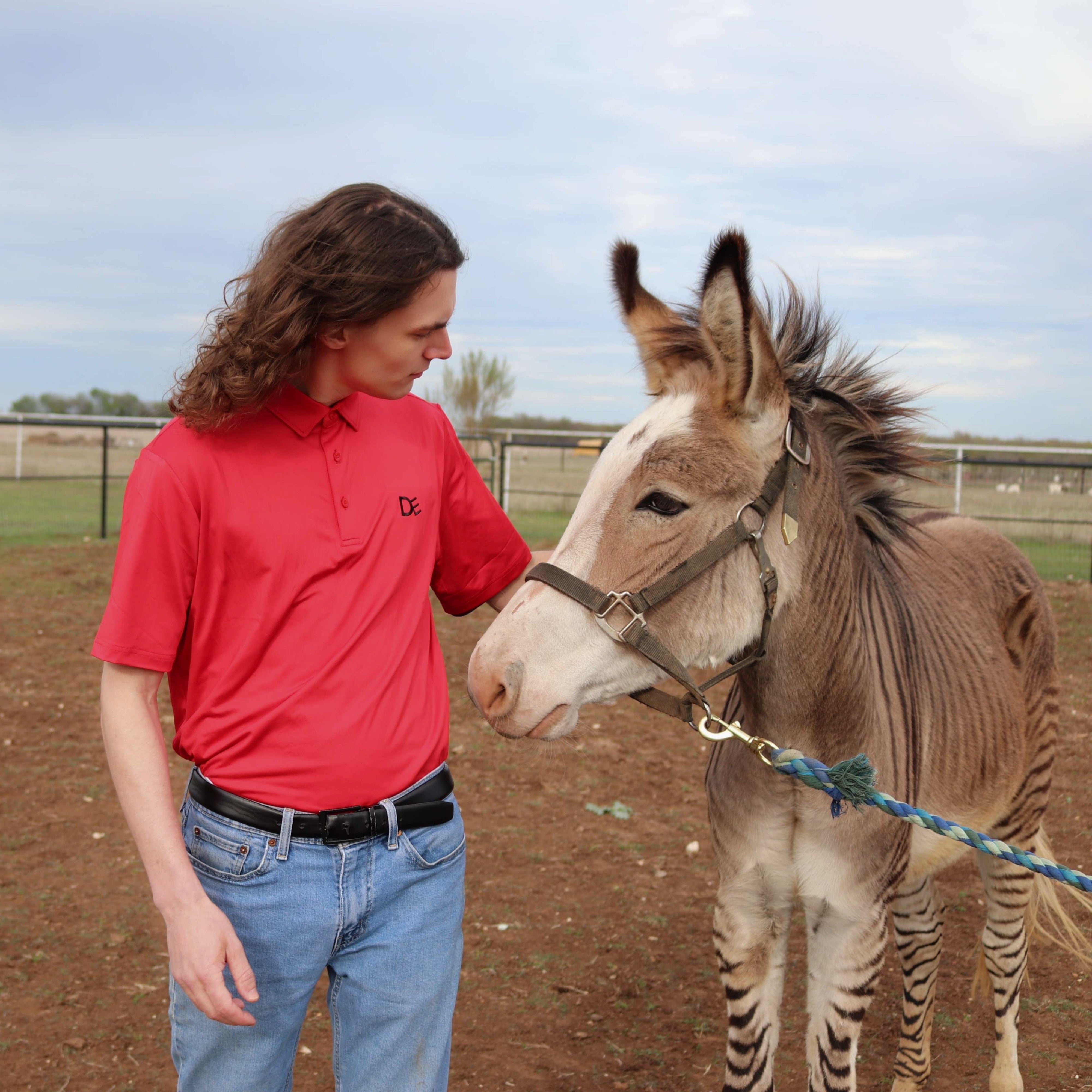 Coy petting Zebediah the Zedonk wearing Divine Equestrian Red Men's Polo