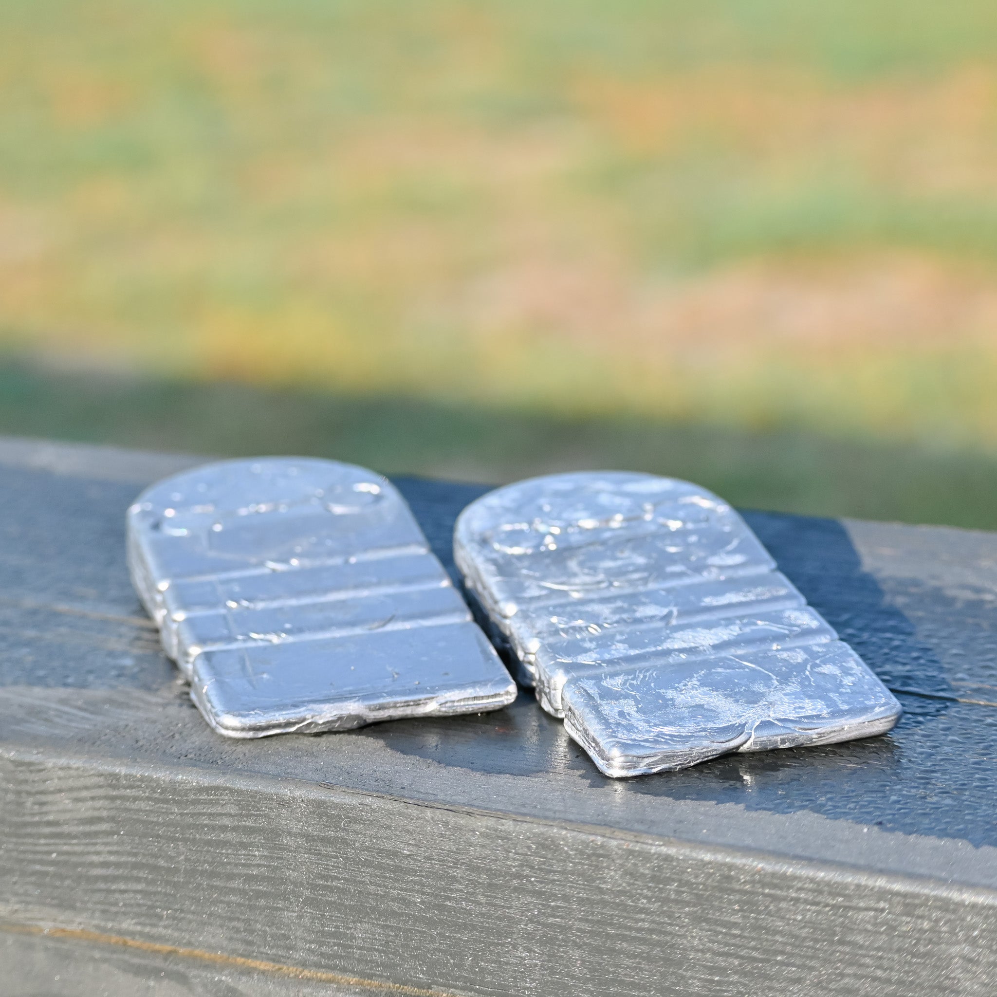 Equisole-Weighted Training Aid for Equestrians