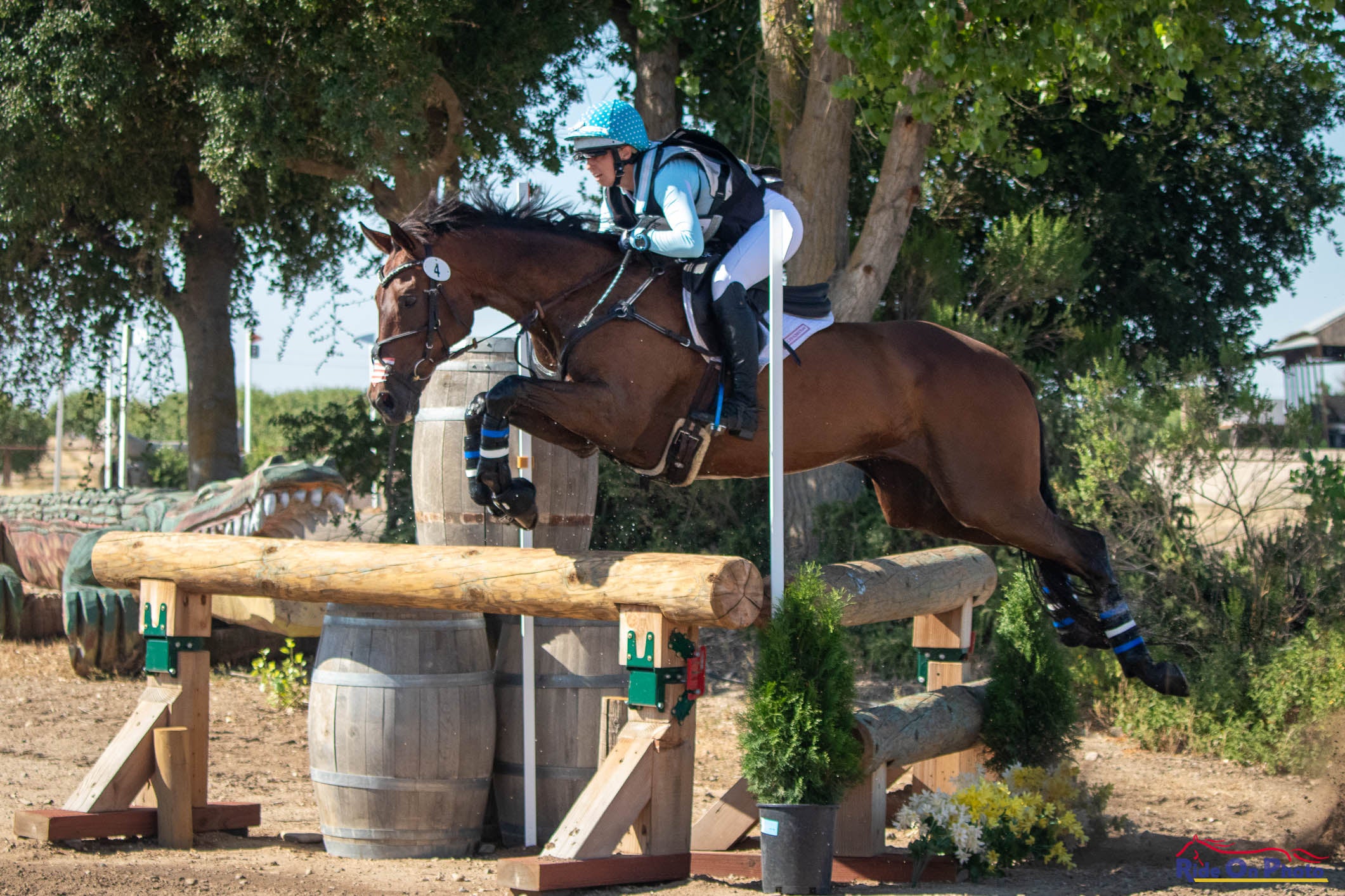 Anna Pierce riding Obiejohn wearing Divine Equestrian Sky Blue Sweet Lady Sun Shirt, and White Dignified Competition Breeches