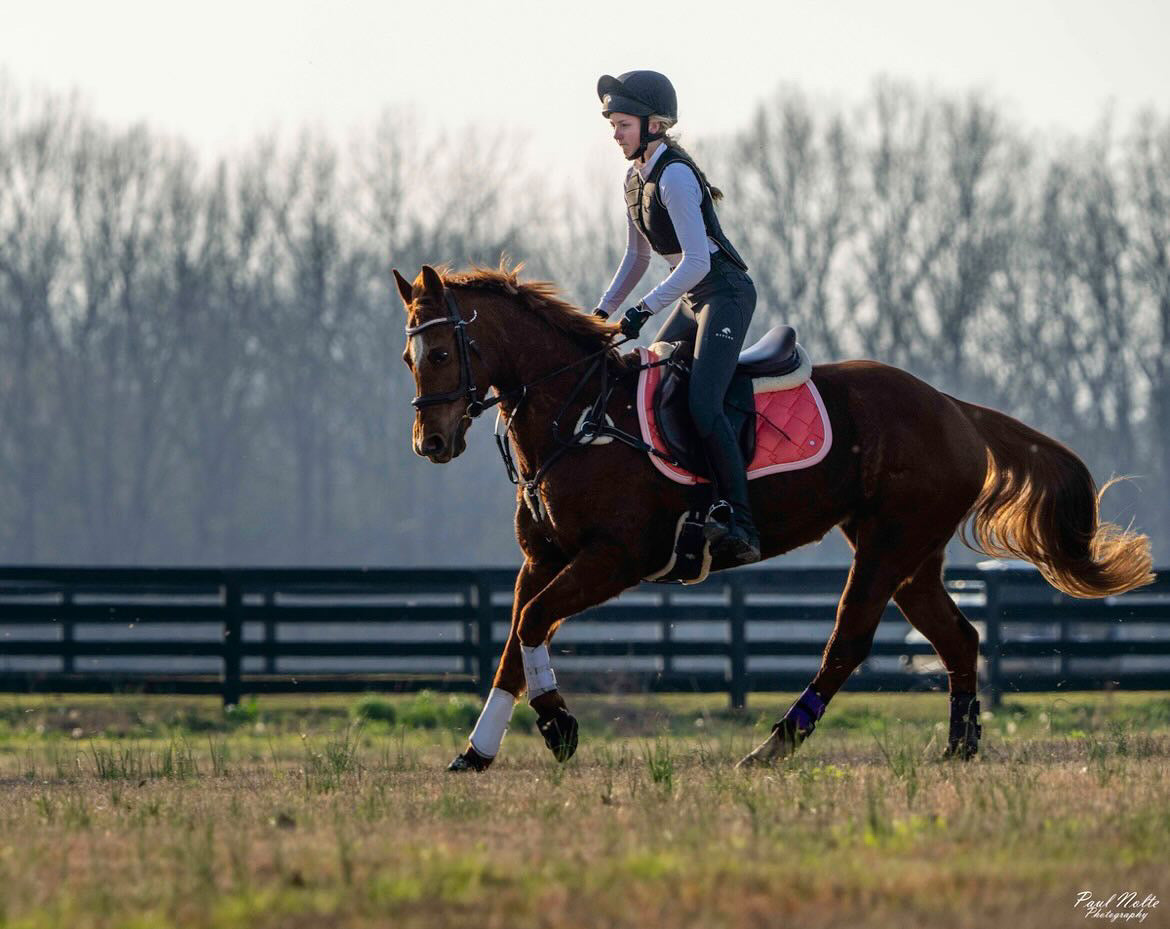 Ann Parker wearing Divine Equestrian Gray Comfort Grip Leggings and white Sweet Lady Sun Shirt