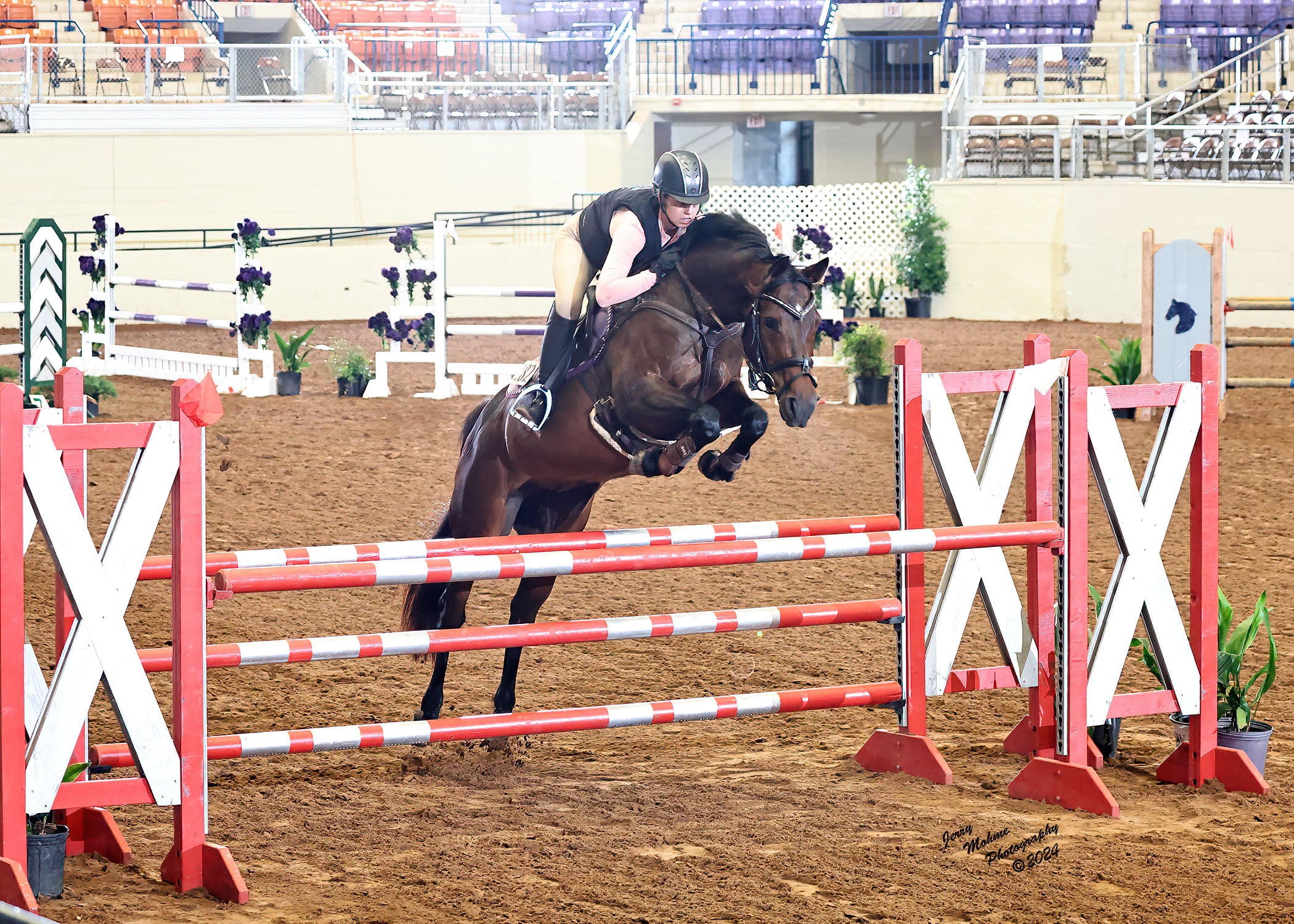 Hunter Competition Legal Breeches for Equestrians