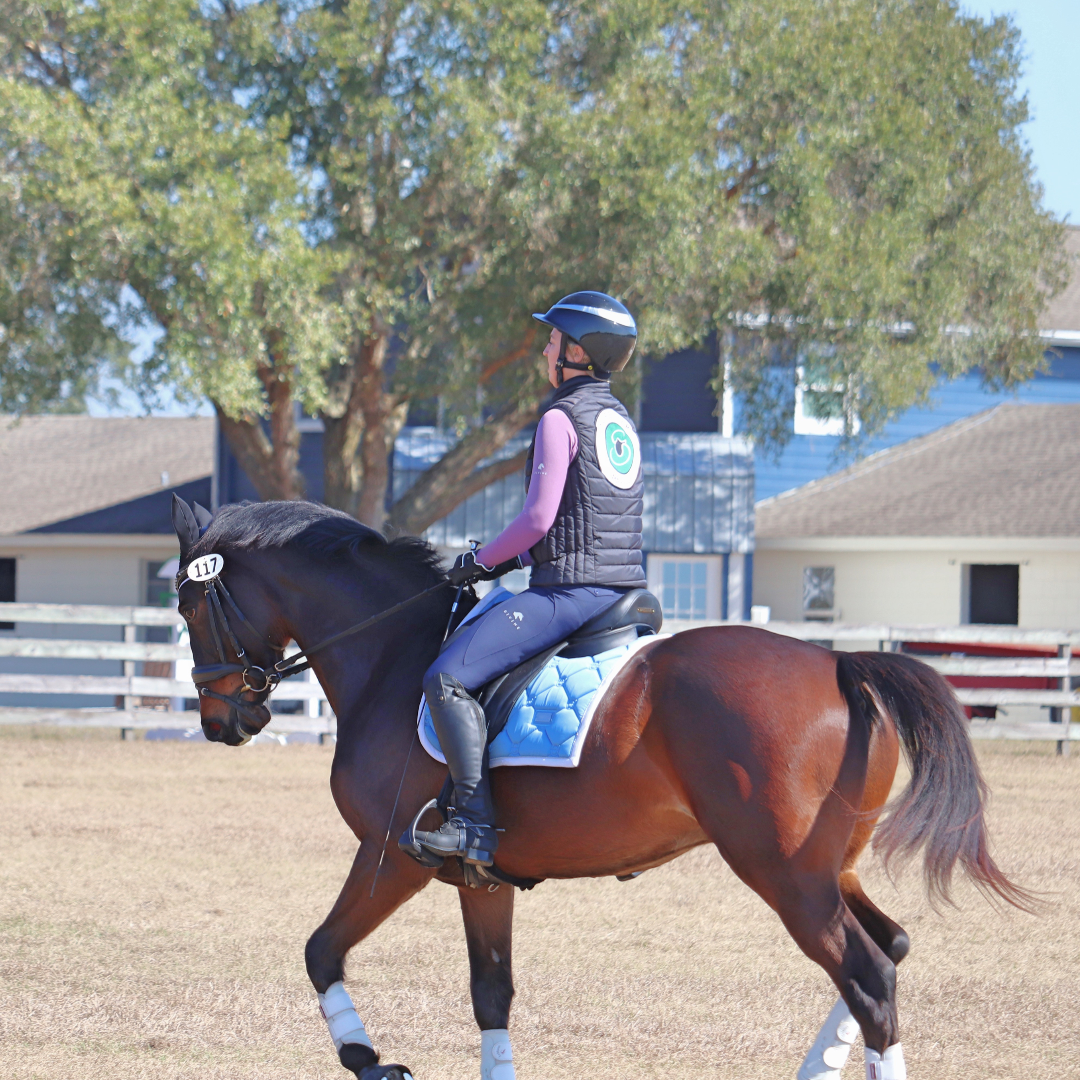 Navy Comfort Grip Leggings | Divine Equestrian Affordable Riding Pants
