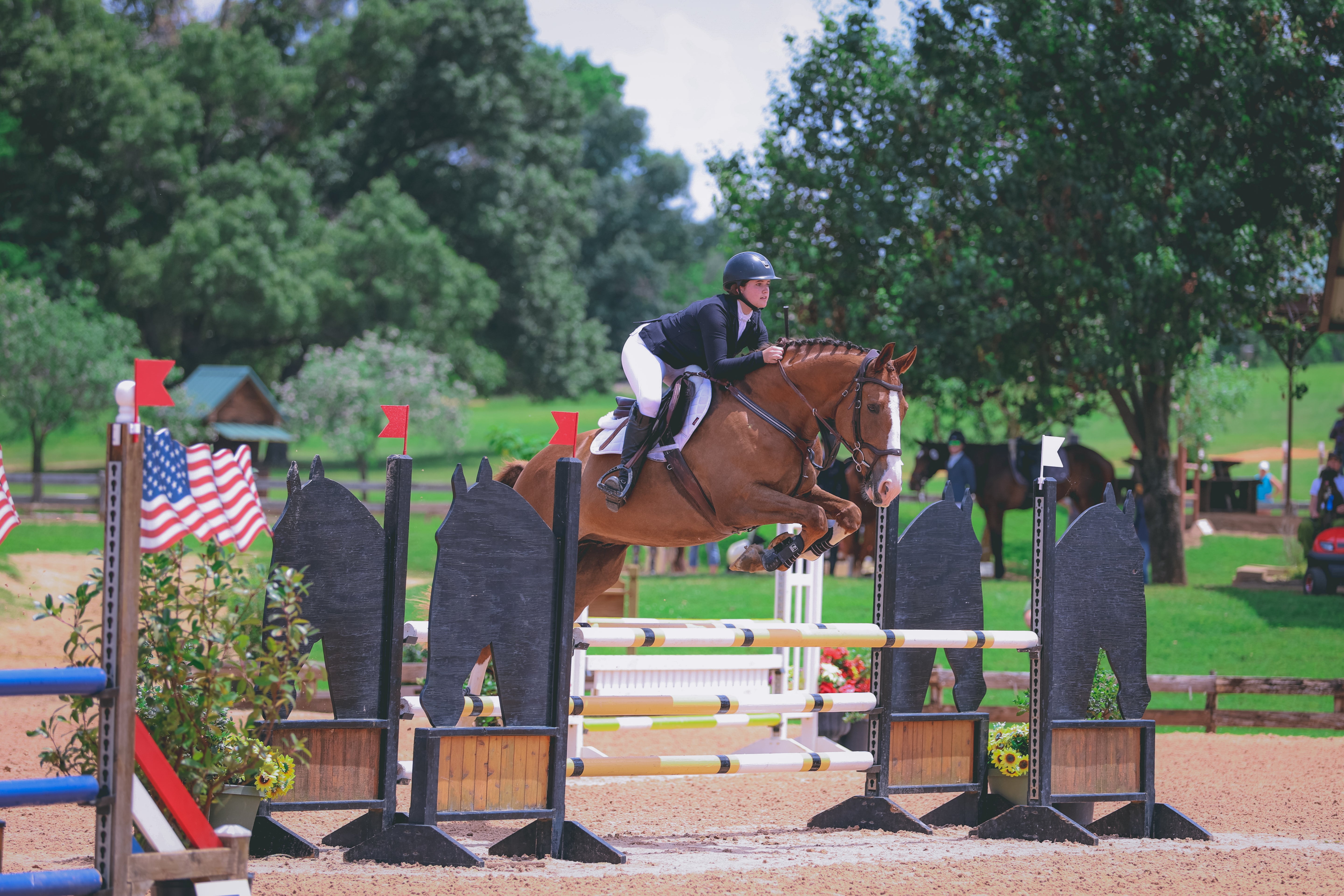 Premium Equestrian Breeches