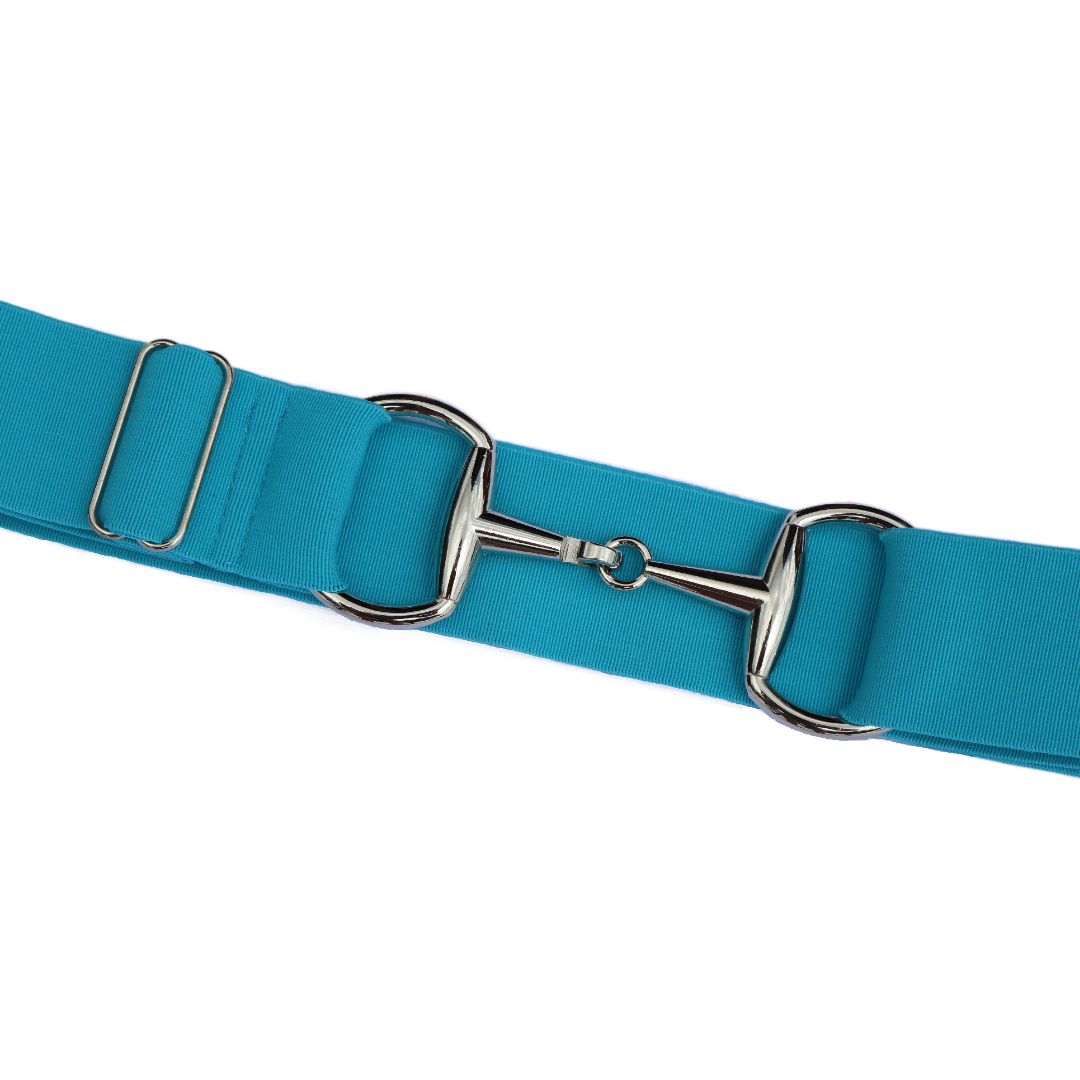 Pretty Pink Comfort Fit Belt Silver Snaffle Zoomed In | Divine Equestrian Affordable Elastic Riding Belts