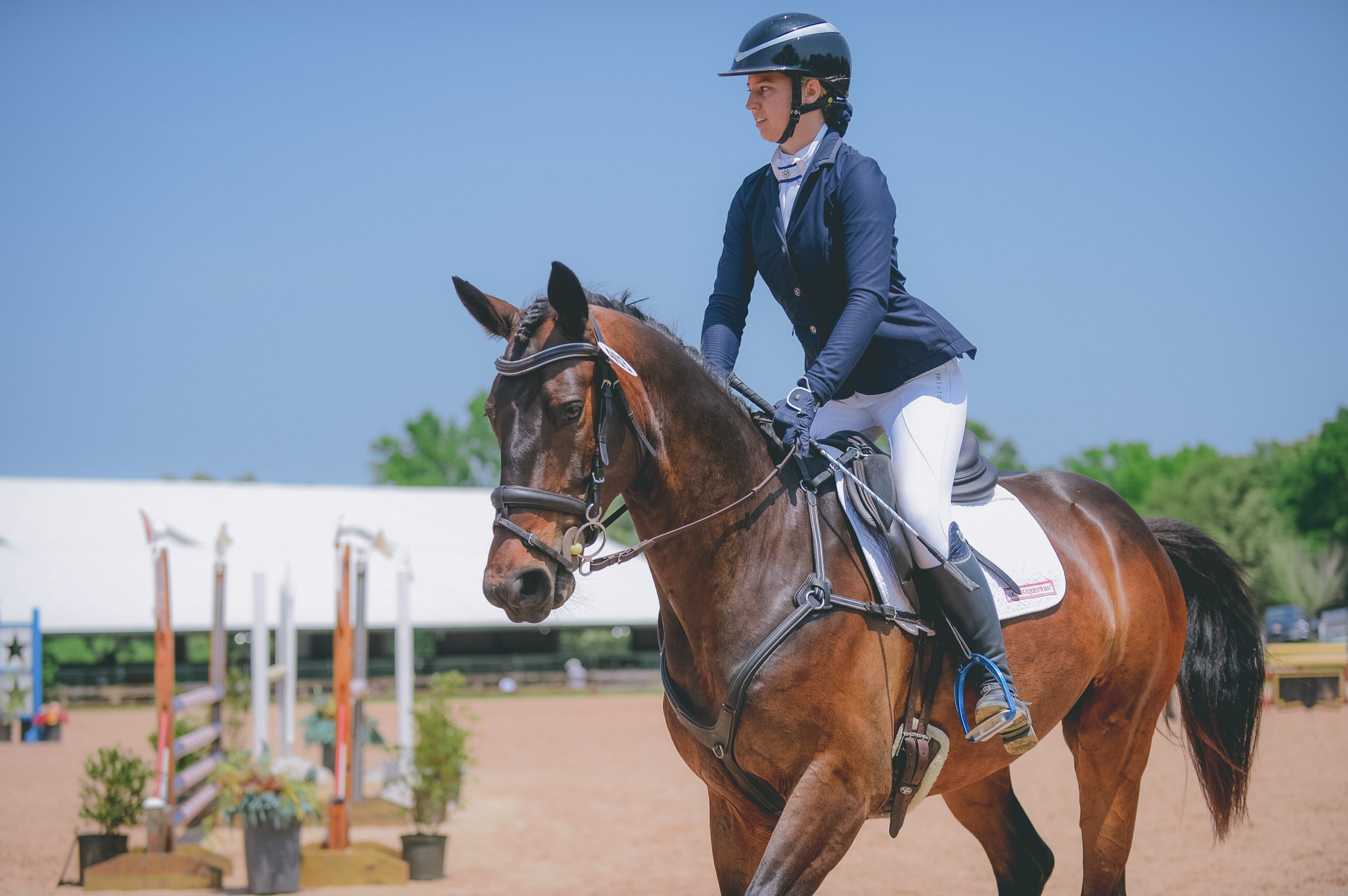 Anna Pierce wearing Divine Equestrian white Sweet Lady Sun Shirt, and White Dignified Competition Breeches