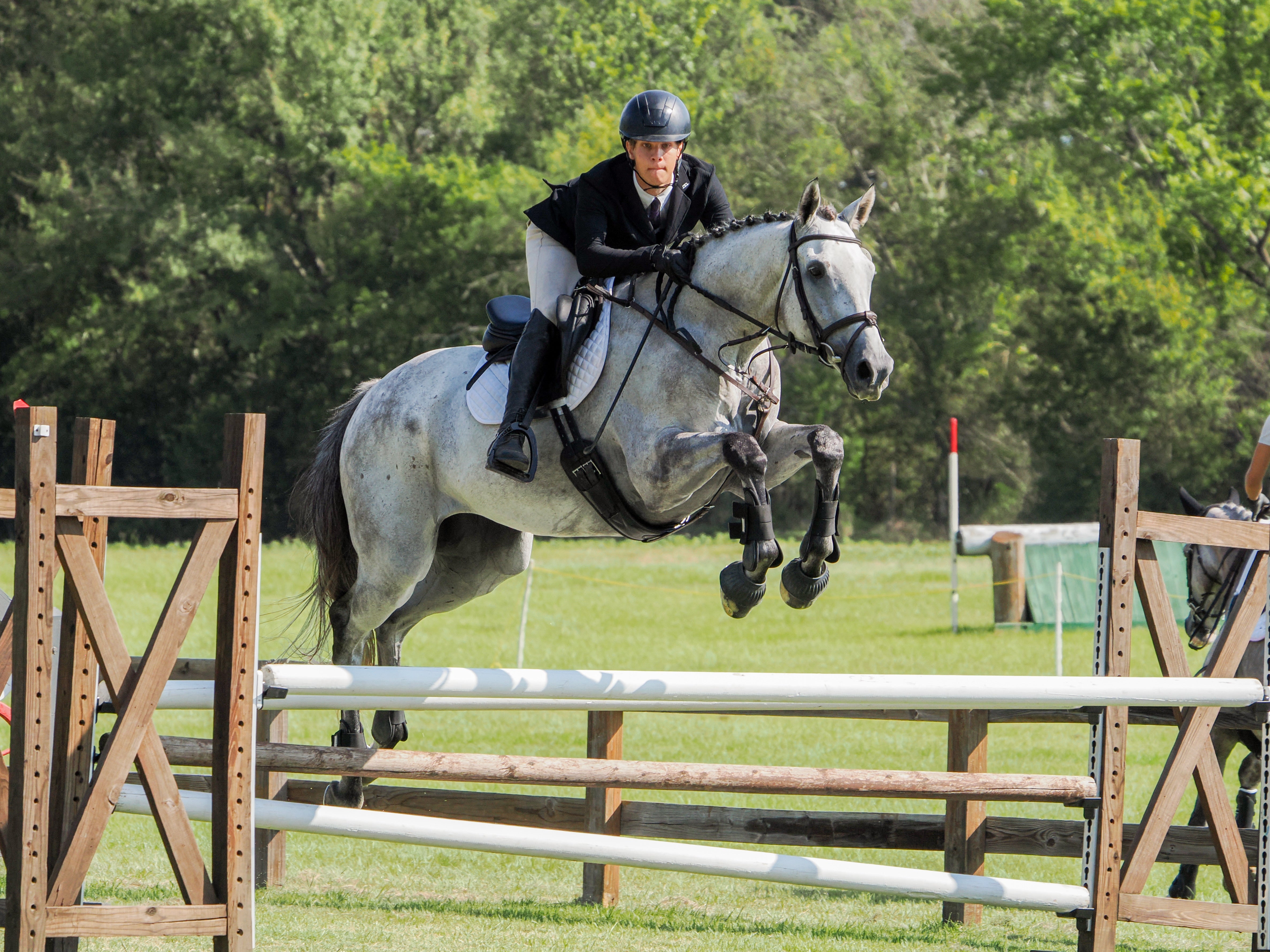 Elevate Your Riding Wardrobe with Divine Equestrian's Men’s Polos and Breeches