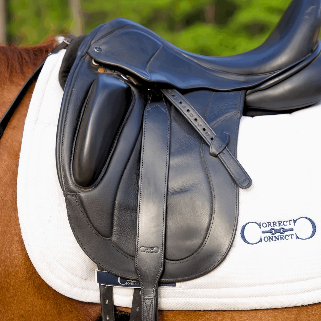 Stable Ride Stirrup Leathers