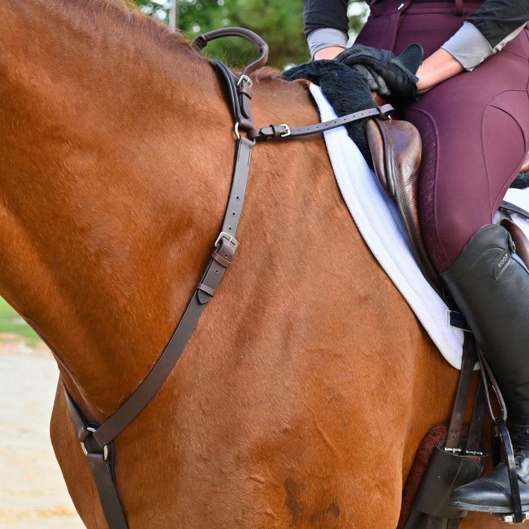 3-Point Breastplate with Double Neck Strap