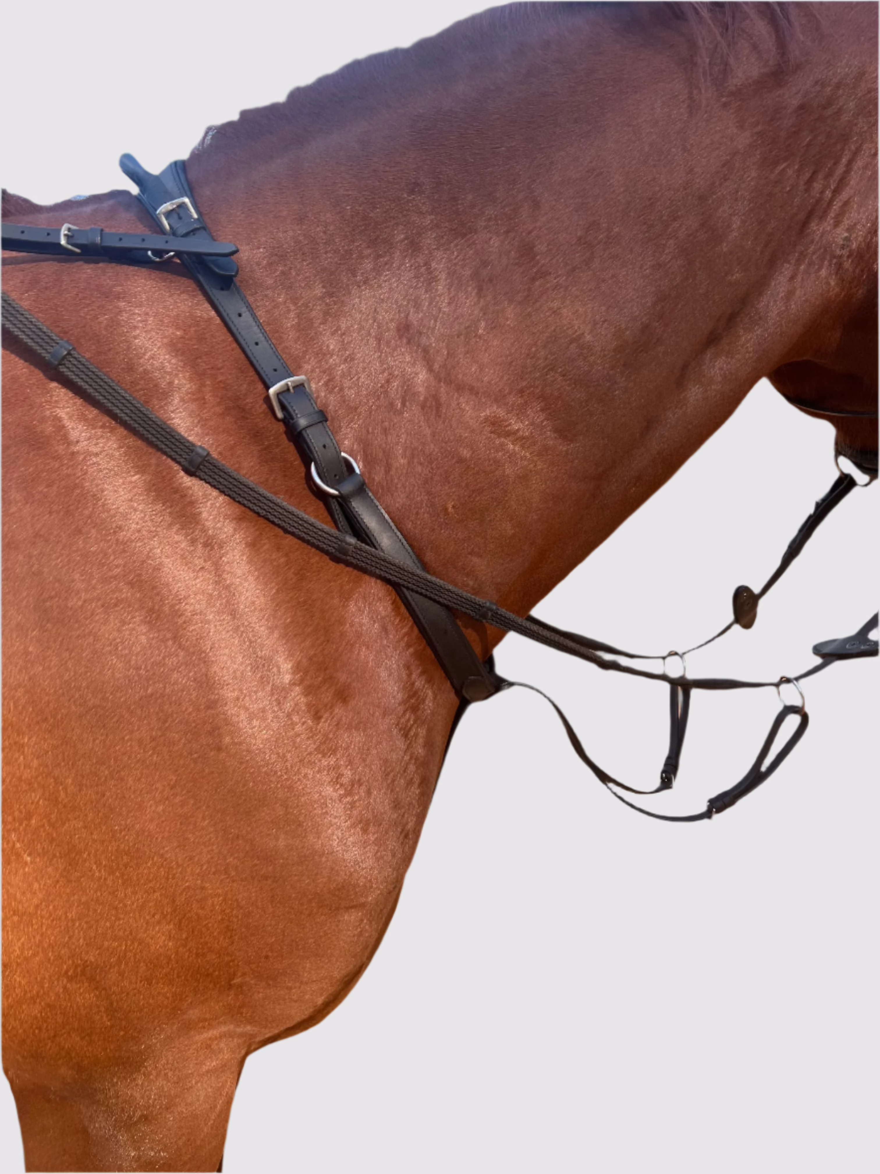 Running Martingale Add-On for Double Neck Strap
