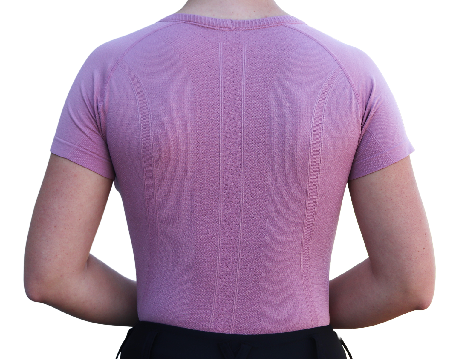 Pink Back | Divine Equestrian Affordable Short Sleeve Riding Shirts